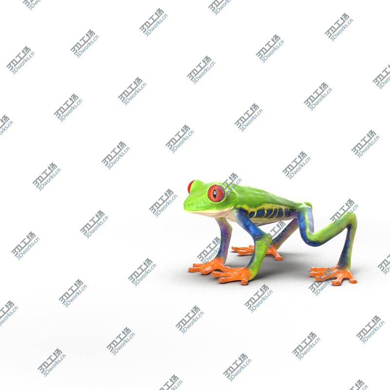 images/goods_img/2021040232/Red Eyed Tree Frog Rigged for Cinema 4D/3.jpg